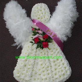fwthumbAngel Boa Feather Wings & Sash - DSC06920.jpg